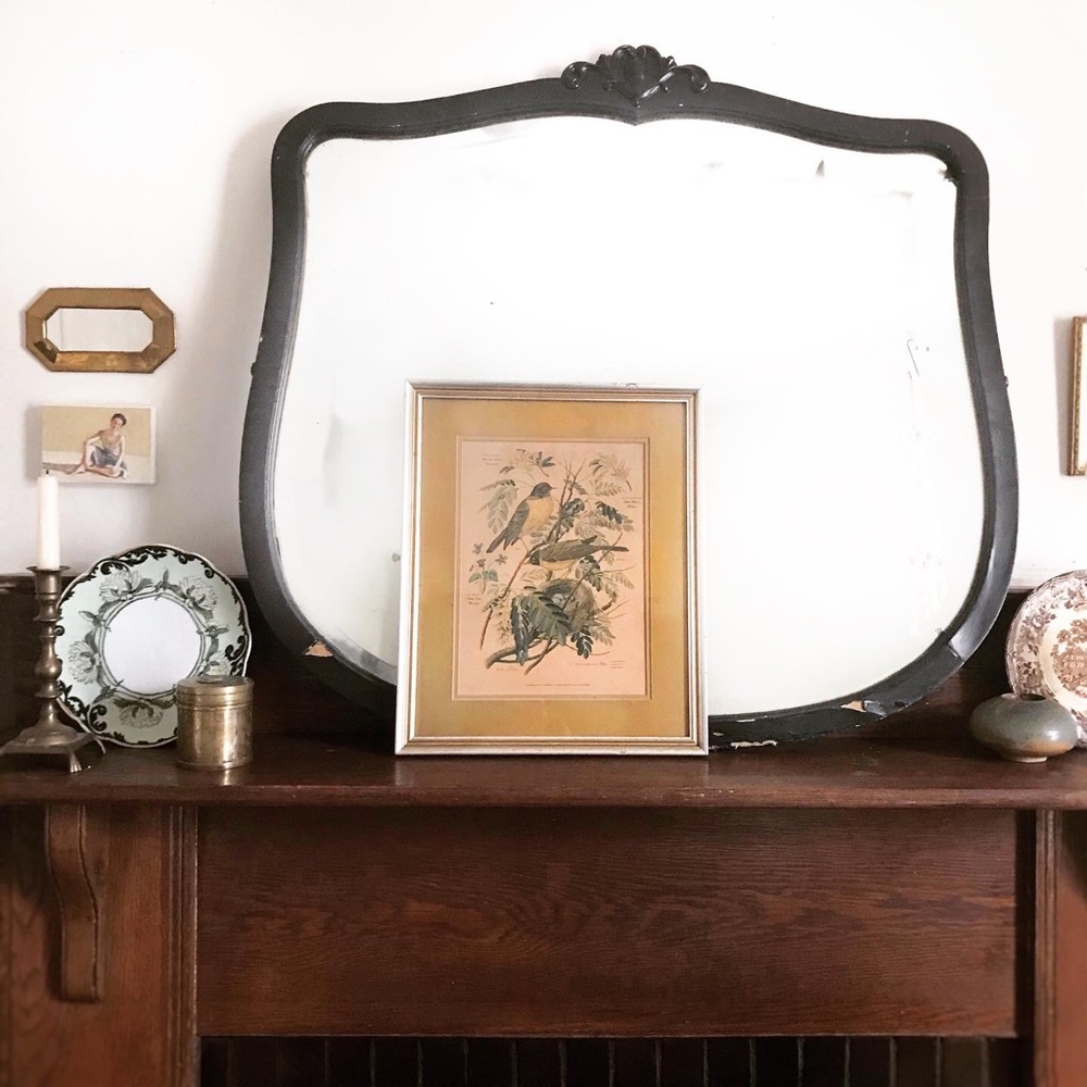 Vintage Arthur Singer Framed Botanical Bird Print